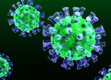 mers_coronavirus_3d.jpg