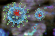 virus_attac-1024x671.png